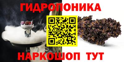 бошки Шебекино