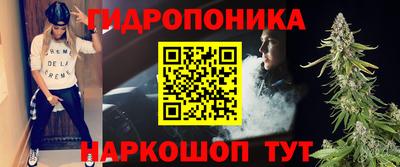 винт Шелехов