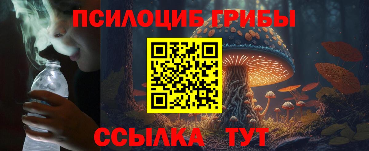 Владикавказ  Псилоцибиновые грибы Magic Shrooms  Вход с VPN 